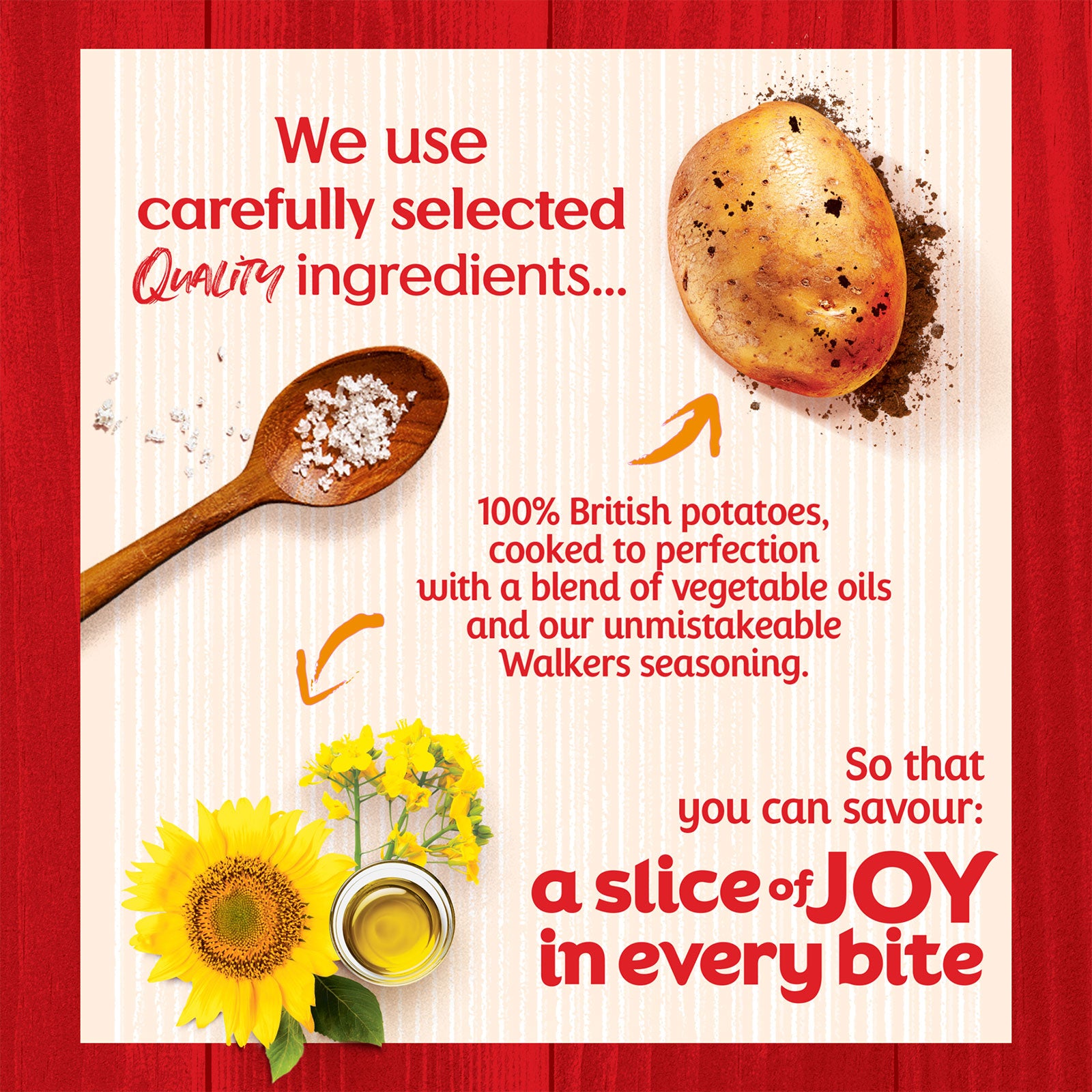 Walkers Crisps Pickled Onion Multipack Snack 72 x 25g - Image 4