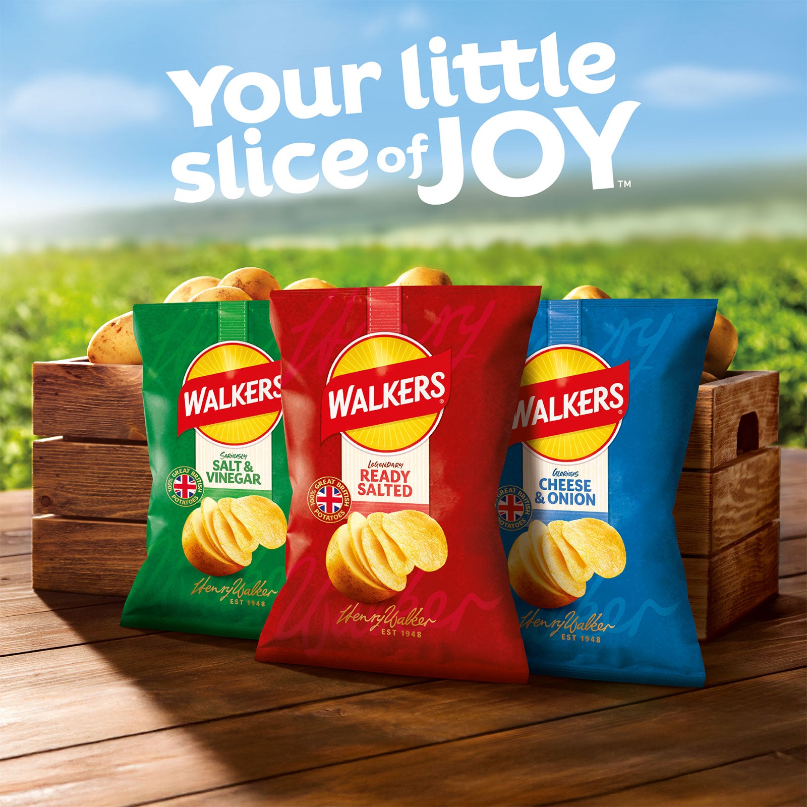 Walkers Crisps Pickled Onion Multipack Snack 72 x 25g - Image 6