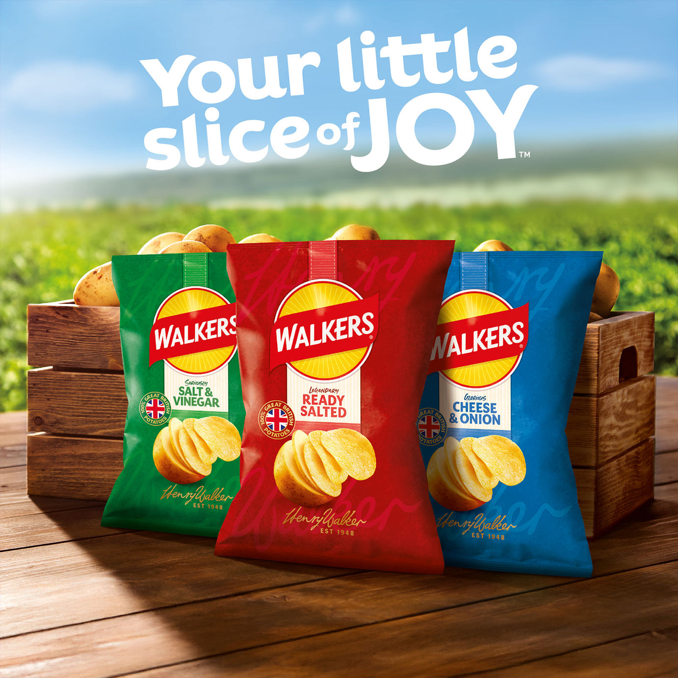 Walkers Crisps Lea & Perrins Worcester Sauce Multipack 108 x 25g - Image 7