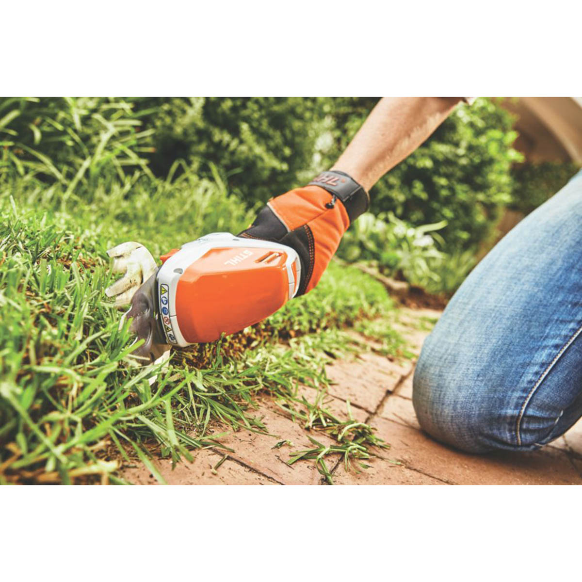 STIHL Shrub Grass Shears Cordless HSA 26 10.8V Li-Ion AS System Body Only - Image 3